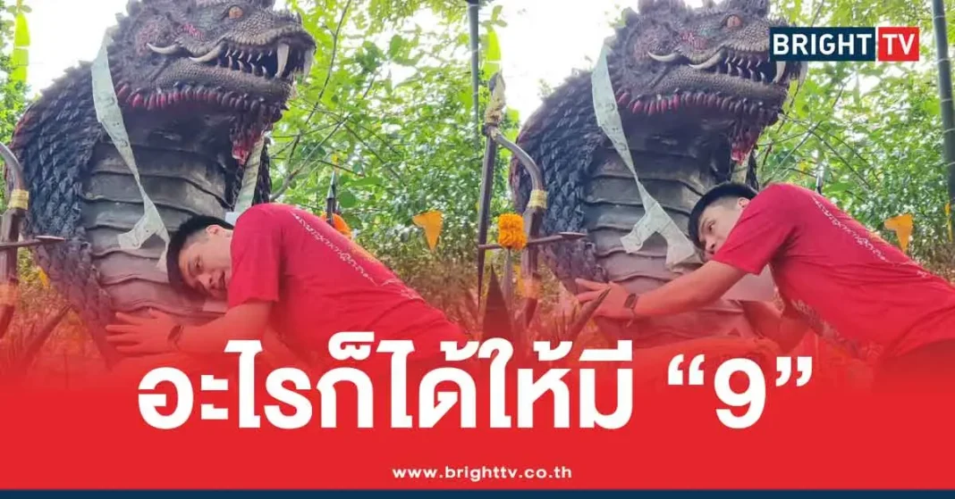 1773986413 622208 Brighttv.webp