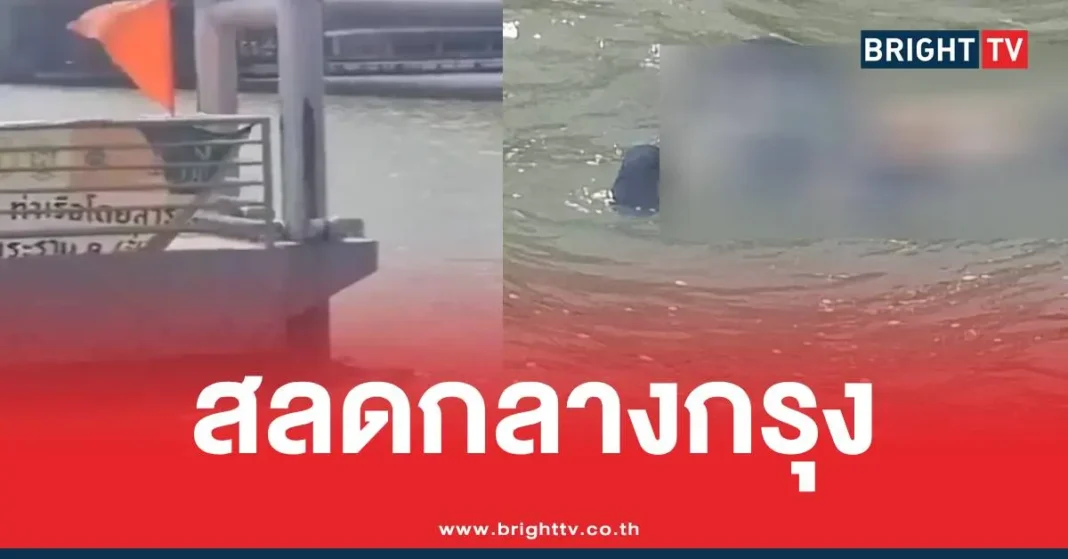 1774607579 662412 Brighttv.webp