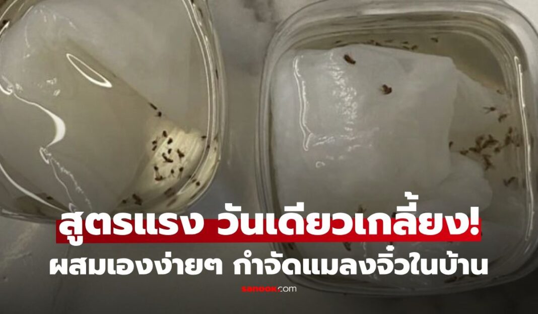 1774728585 Unnamed File