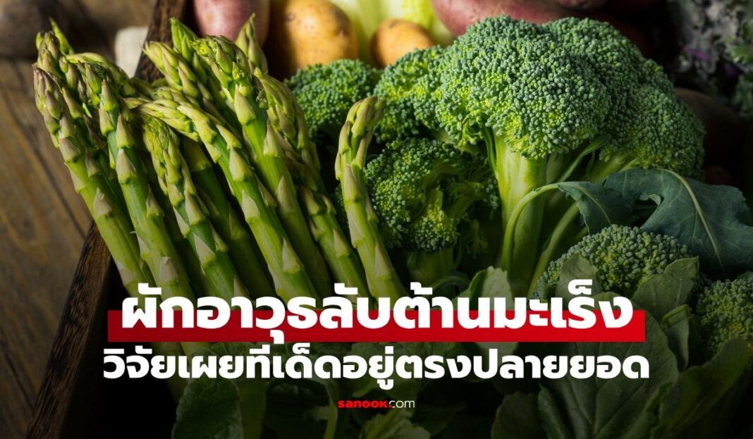 1774735144 Unnamed File