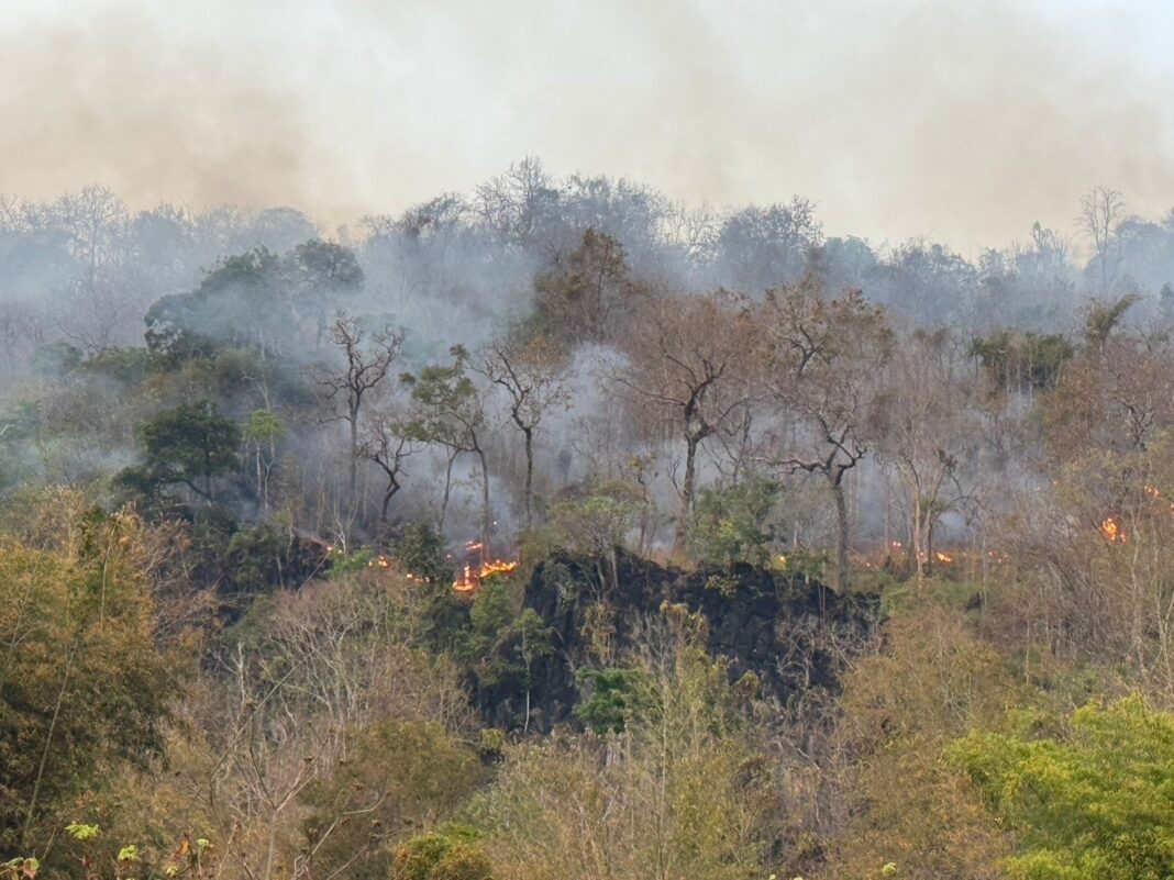 633886549 1298657609113936 6227788954294479937 N