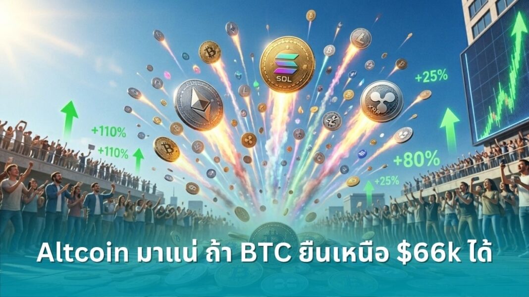 BTC 66k Altcoin