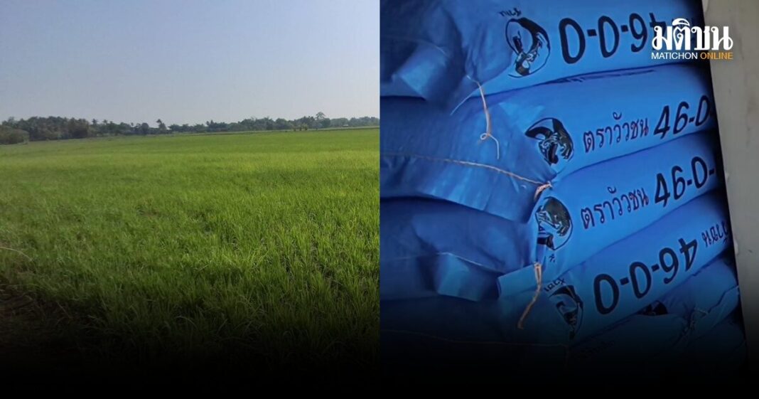 E0B88AE0B8B2E0B8A7E0B899E0B8B2 E0B882E0B8B9E0B988E0B89AE0B8B8E0B881