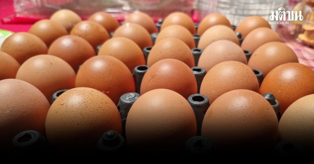 E0B8AAE0B8B2E0B980E0B8ABE0B895E0B8B8E0B984E0B882E0B988E0B984E0B881