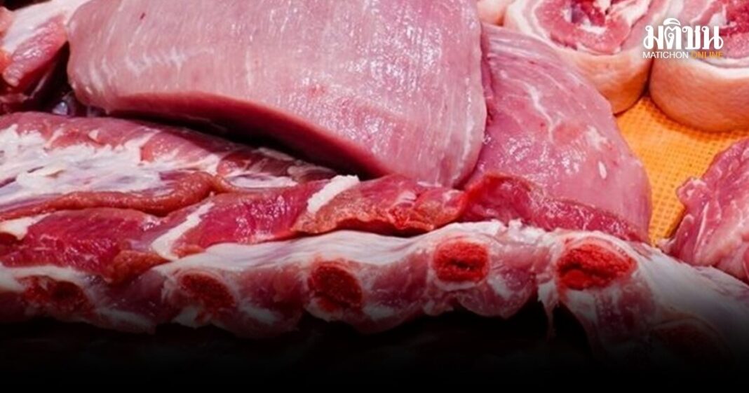 E0B8ABE0B8A1E0B8B9E0B882E0B8B6E0B989E0B8992E0B89AE0B8B2E0B897 3003