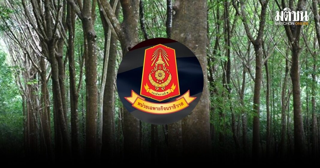 E0B982E0B895E0B989E0B882E0B988E0B8B2E0B8A7E0B89AE0B8B4E0B899E0B8AE