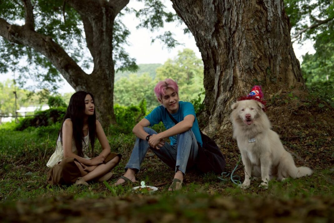 มาแรง! “ตู-ต้นตะวัน” อัปสกิลการแสดง ร่วมงานกับ “ลุงหิมะ” (โกฮังวัยแก่) เผยเบื้องหลังทีมเวิร์กสุดอบอุ่น ในหนัง “โกฮัง..หัวใจโกโฮม”