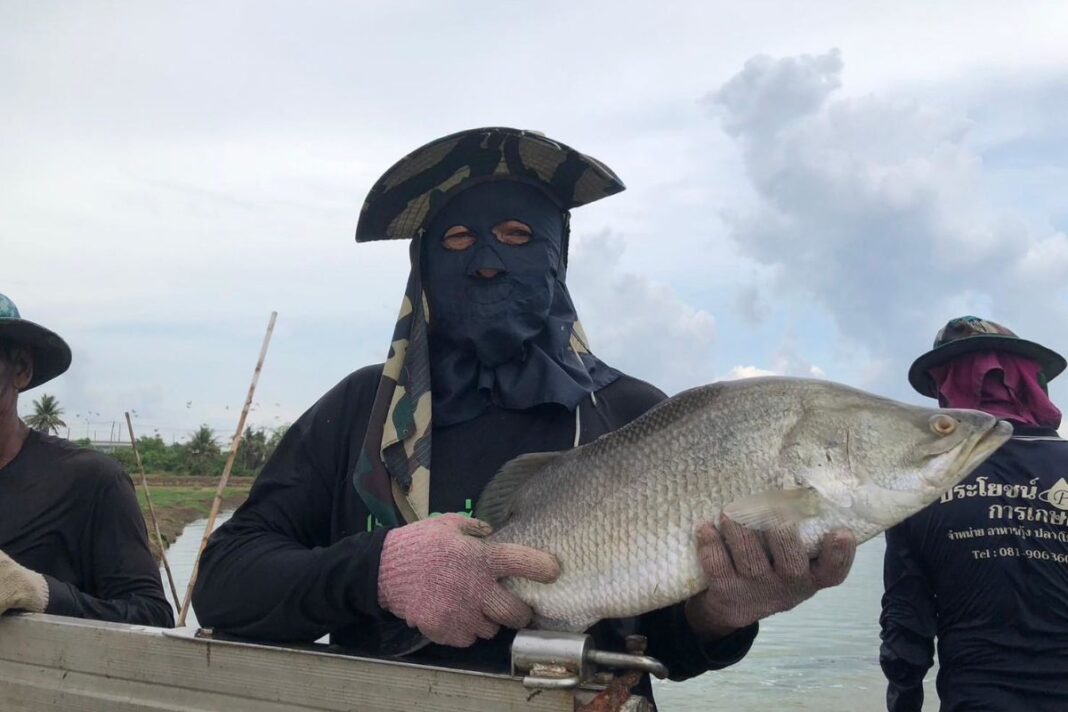 Untitled Design 2026 03 21T134307.023