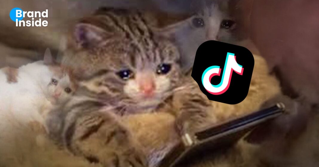 WebsBI TToklogo Scaled WebsBI TToklogo Scaled