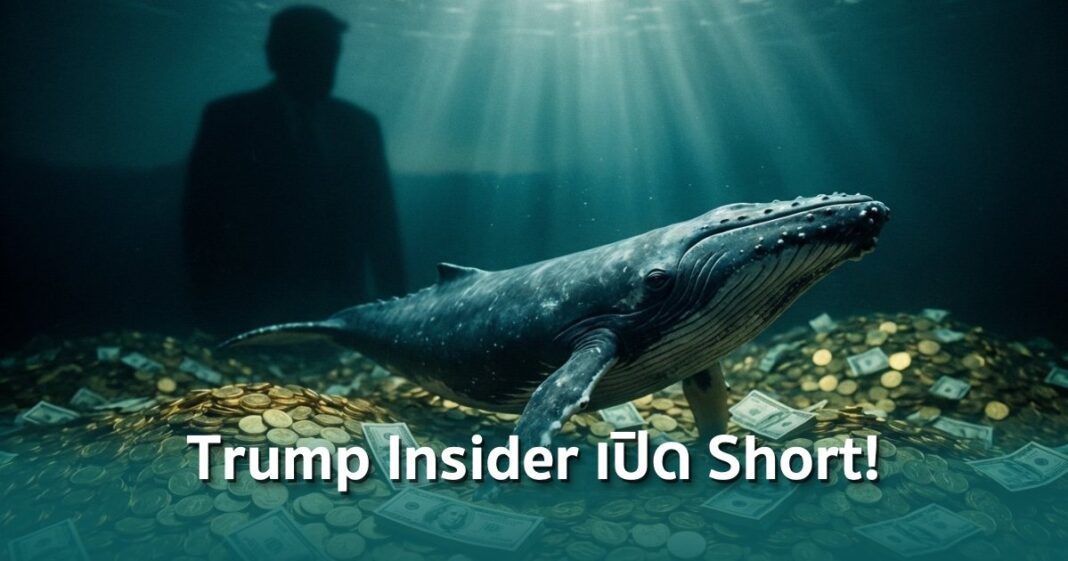 Ai 20260321 144705 Overlay Overlay