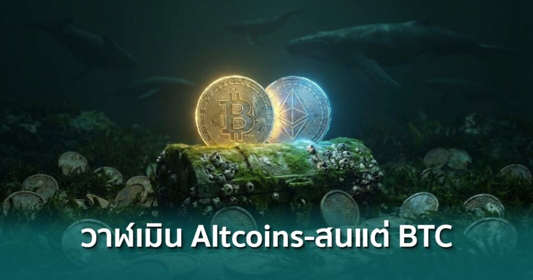 Ai 20260324 221236 Overlay Overlay