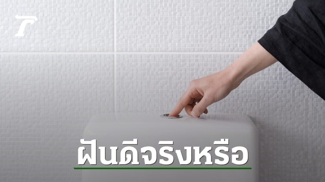 DFQROr7oWzulq5Fa6rPauzSydGNEkV1EIDIBe3DRAIyfpv8Uq5kYsh1OFLyvzhJZFZV