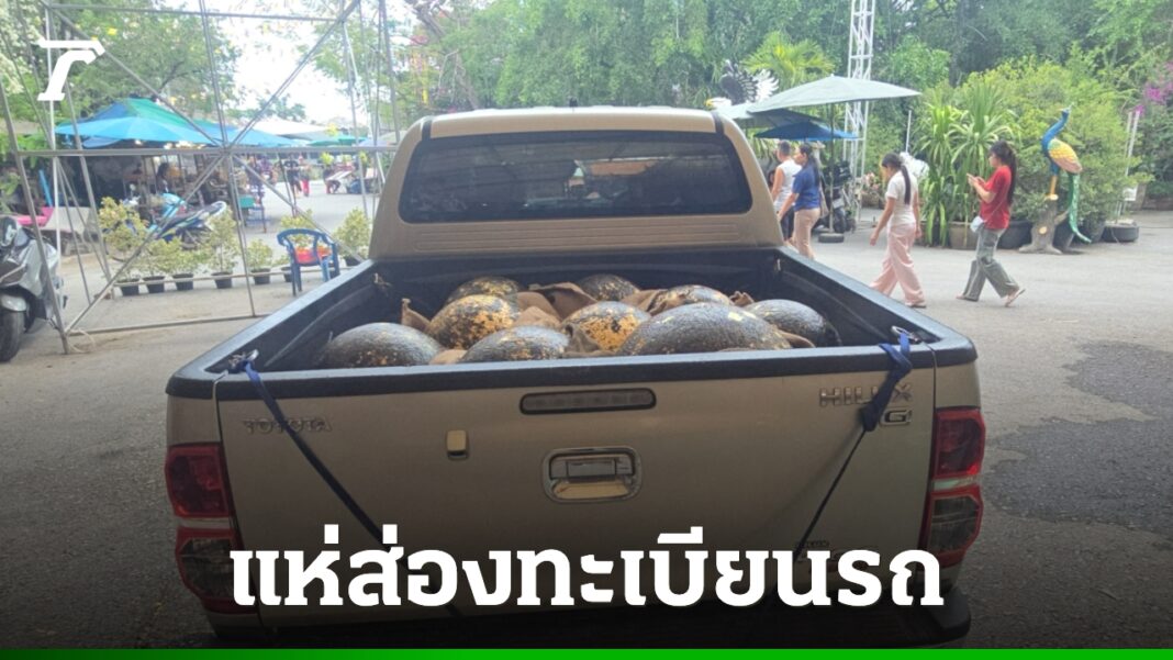 DFQROr7oWzulq5Fa7HG7HxMrertuOz4LSoV1IOMokrxvUKvW1ofUw9aBOD5SNkSCEOM