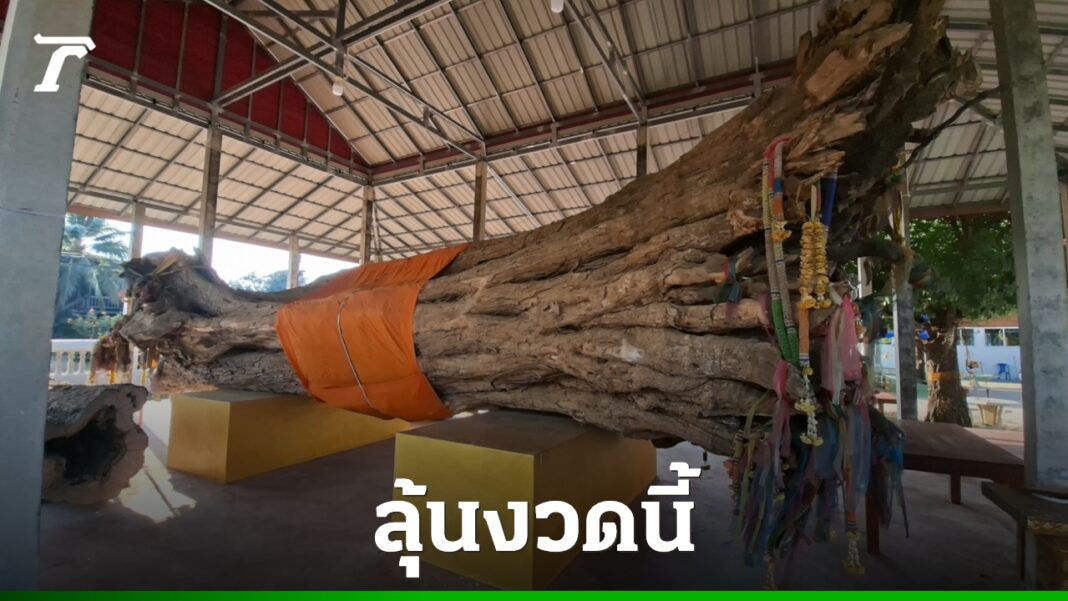 DFQROr7oWzulq5Fa7HG8gLaHras3SWt4s6LEJgEPYdMMl3W3wgXIlwX3vRHBlJ5Z0KN DFQROr7oWzulq5Fa7HG8gLaHras3SWt4s6LEJgEPYdMMl3W3wgXIlwX3vRHBlJ5Z0KN