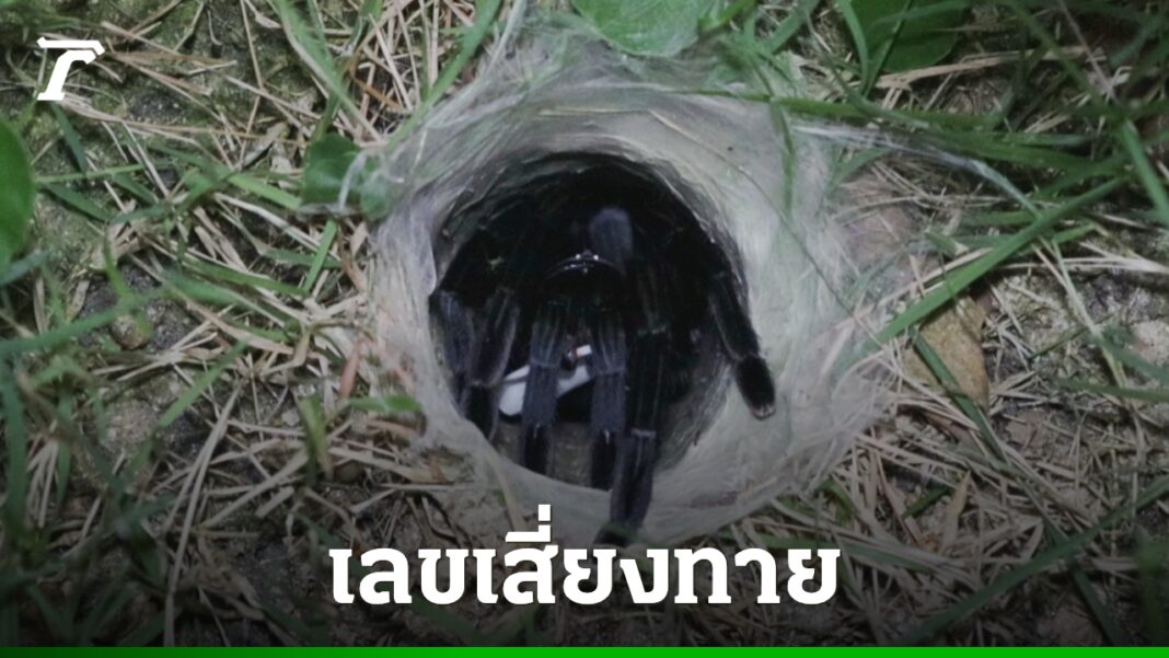 DFQROr7oWzulq5Fa7HG8hTTss2qJnxfLkCVAhUlBsR1otWA5ITLxzZeTz8WEgcCrwrT