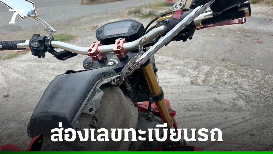 DFQROr7oWzulq5Fa7HG93ogQXre3AROa0NO3p19GEziO40Wjw04ZBxUnMrTQqHULrVS