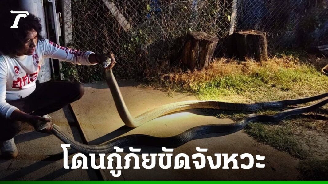 DFQROr7oWzulq5Fa7HG95FLdPUIbLF36r4qzHxERp9iEluhYqqKbTKSXgy0Ld0r6IFM