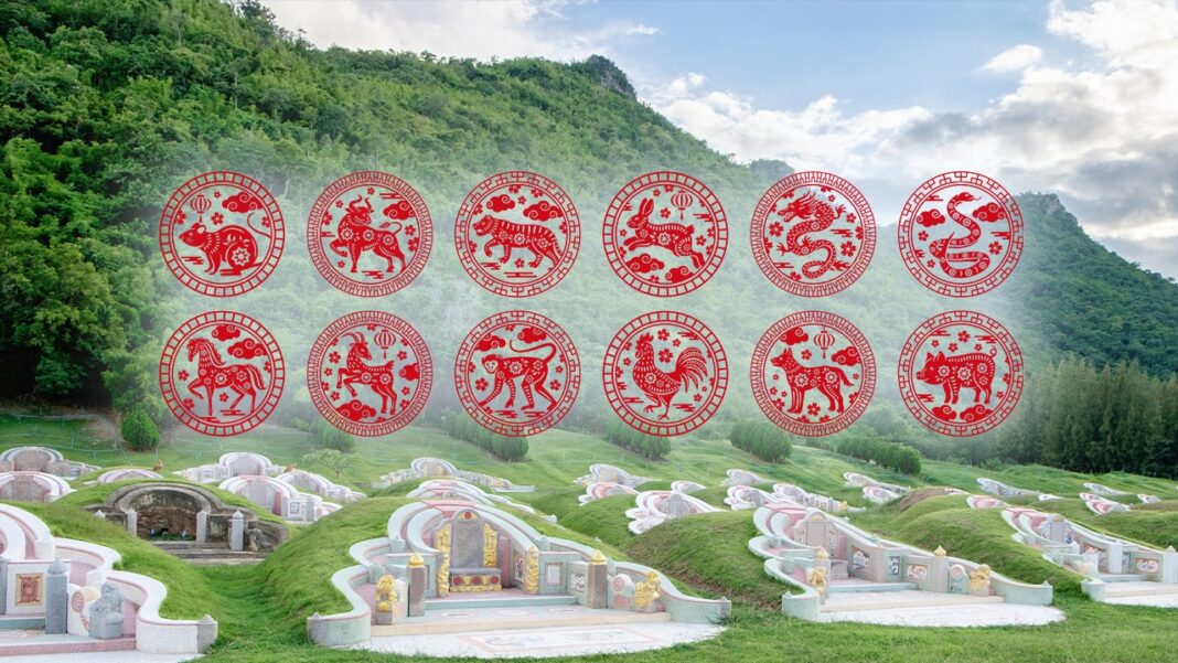 DFQROr7oWzulq5Fa7HG95FcxOFWllYV2WdSmPG72AipjXyBglCr960payKp46RHQfJh