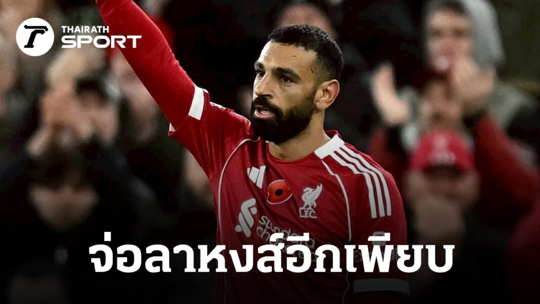 DFQROr7oWzulq5Fa7HG95vxQ5txiPVb4dDQK2WNYm6n4MeOFvk9vzmnV7EXLDb0no6w