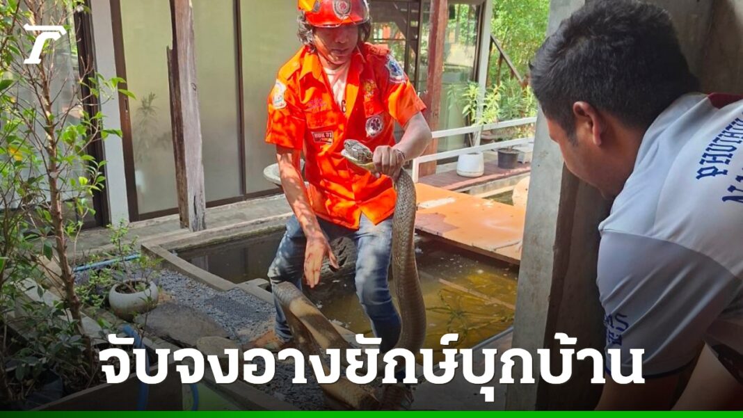 DFQROr7oWzulq5Fa7HG97DGXWkN2zs3HSxLOmOTAqlsI1e3jJPdFanFfHsl61tCUi08