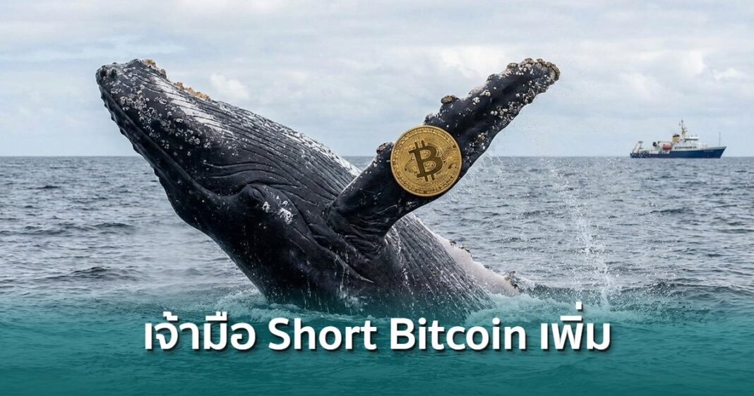 Whale With Bitcoin Overlay 1