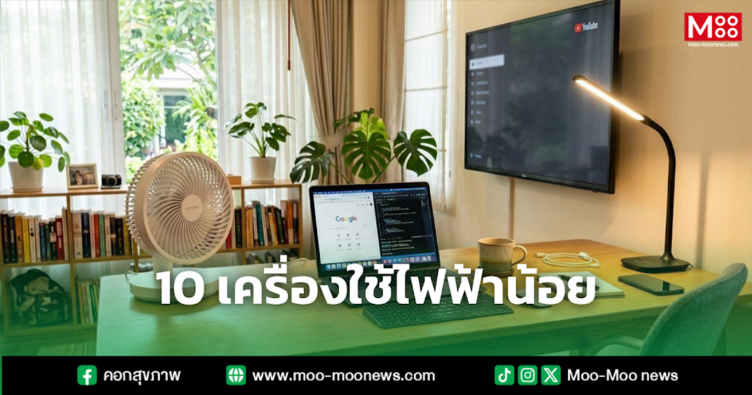 10 เครื่องใช้ไฟฟ้าน้อย