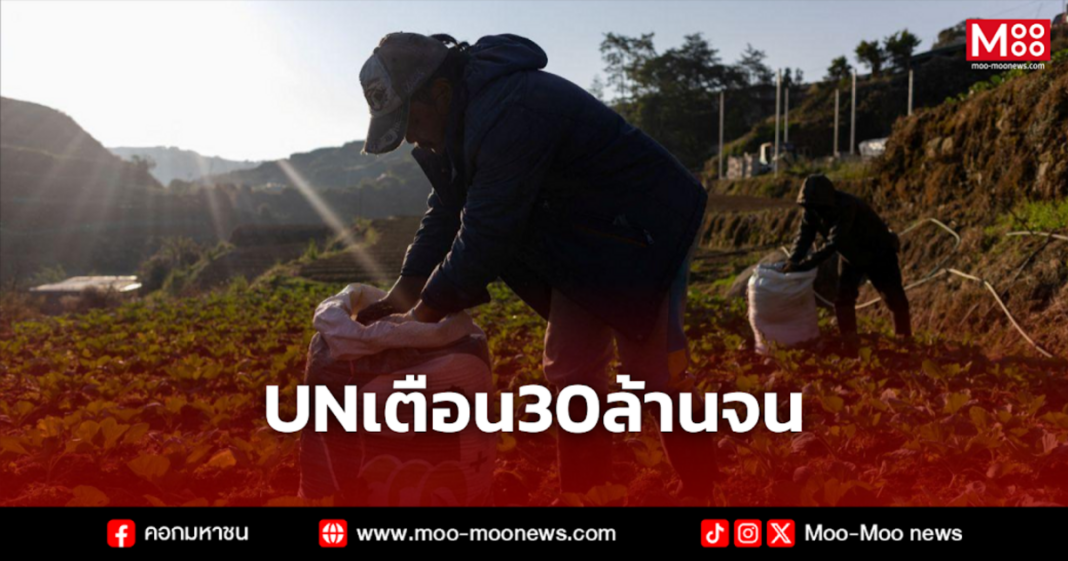 UNเตือน30ล้านจน 1