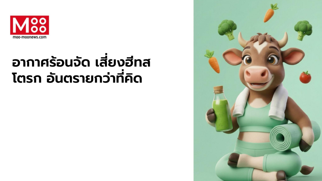 คอกสุขภาพ อากาศร้อนจัด เสี่ยงฮีทสโตรก อันตรายกว่าที่คิด 1