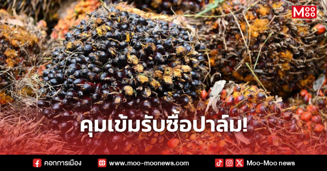 คุมเข้มรับซื้อปาล์ม