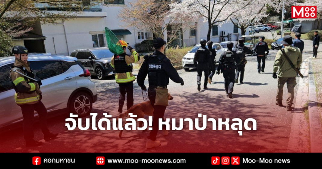 จับได้แล้ว หมาป่าหลุด