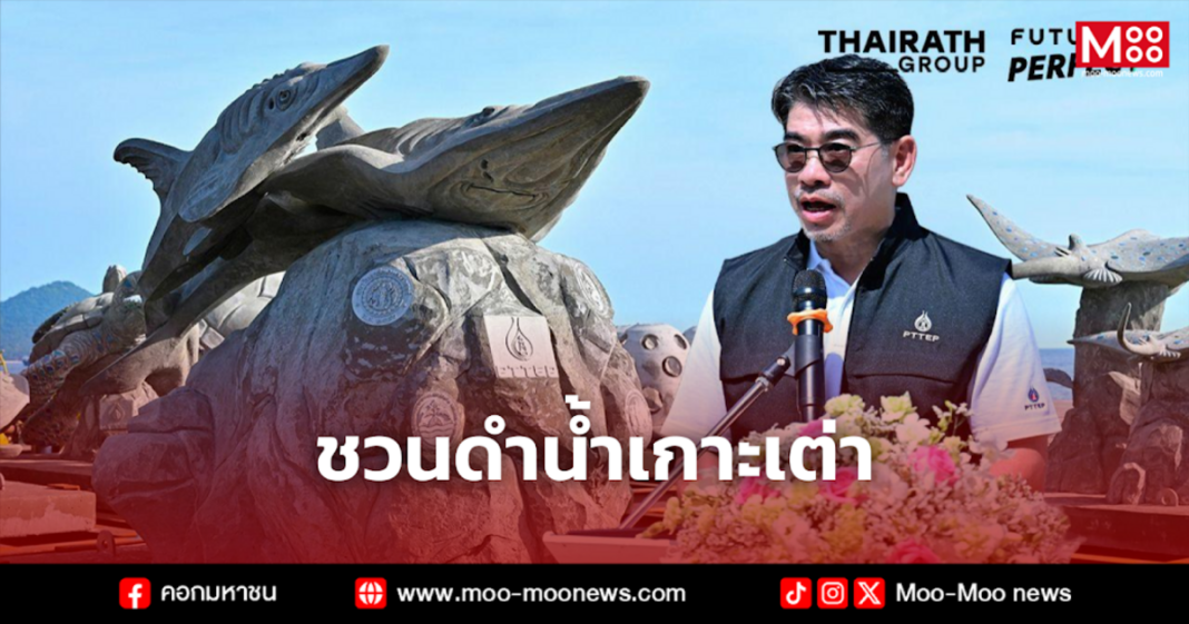 ชวนดำน้ำเกาะเต่า