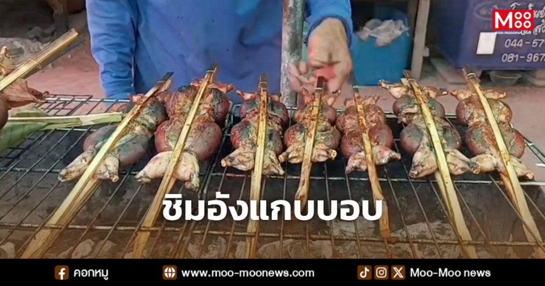 ชิมอังแกบบอบ