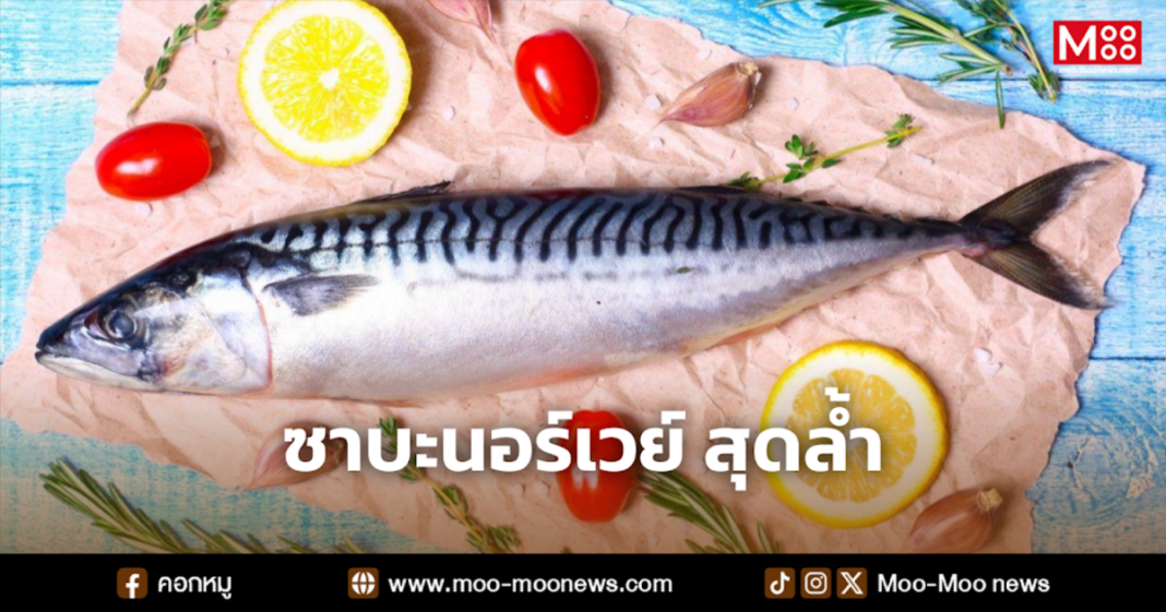 ซาบะนอร์เวย์ สุดล้ำ