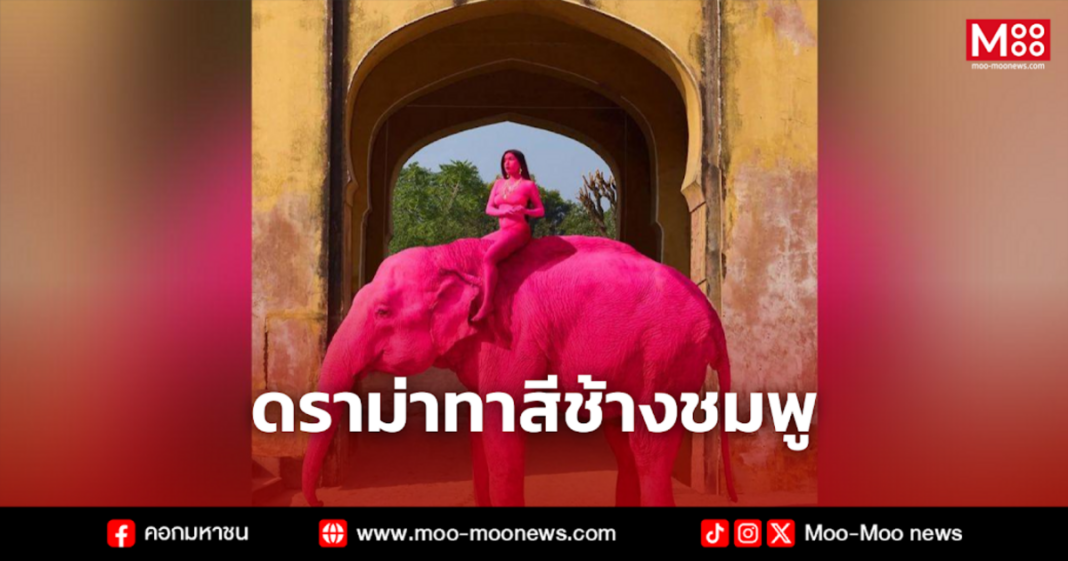 ดราม่าทาสีช้างชมพู