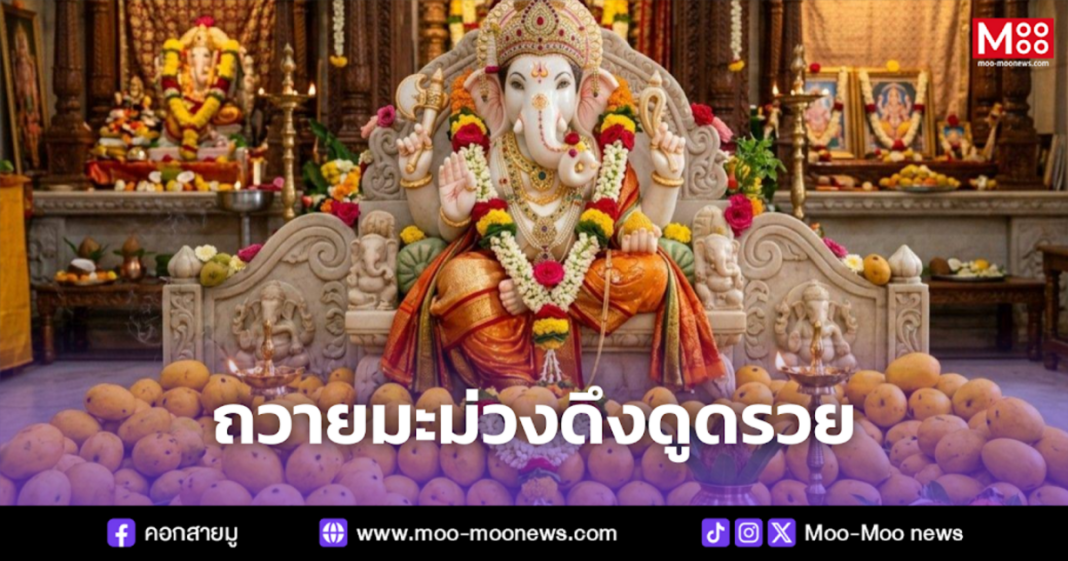 ถวายมะม่วงดึงดูดรวย