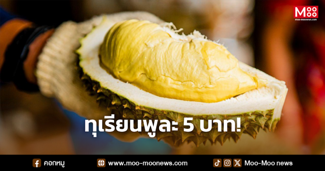 ทุเรียนพูละ 5 บาท