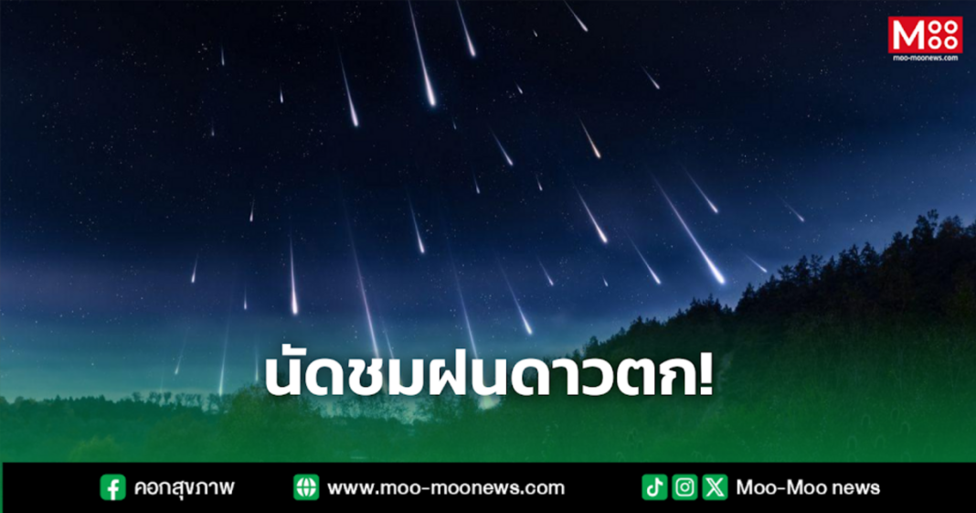 นัดชมฝนดาวตก