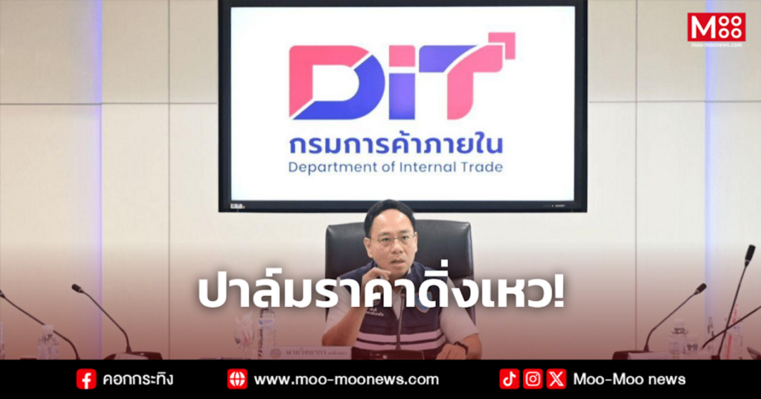 ปาล์มราคาดิ่งเหว