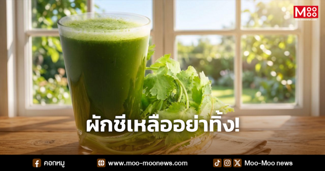 ผักชีเหลืออย่าทิ้ง