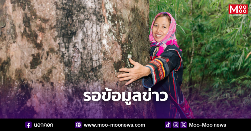 รอข้อมูลข่าว 1