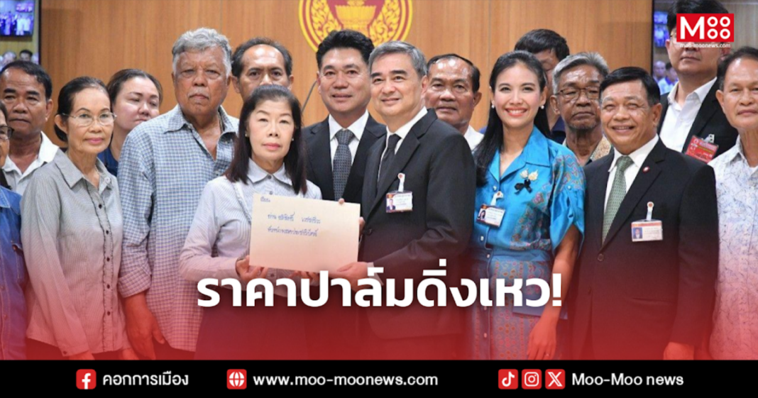 ราคาปาล์มดิ่งเหว