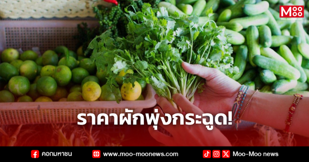 ราคาผักพุ่งกระฉูด