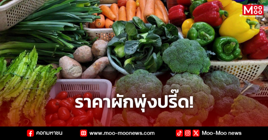 ราคาผักพุ่งปรี๊ด ราคาผักพุ่งปรี๊ด
