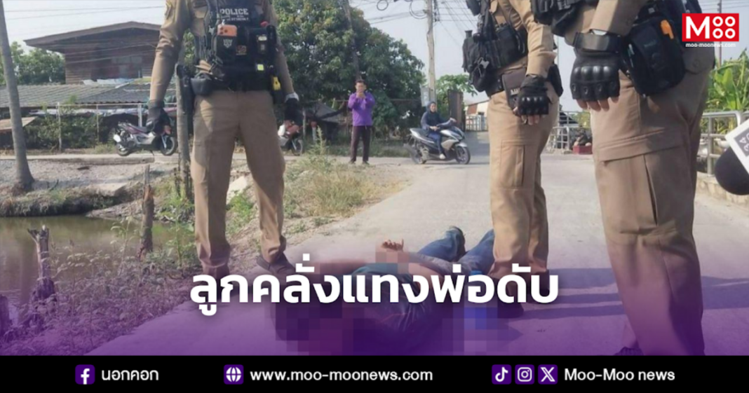 ลูกคลั่งแทงพ่อดับ