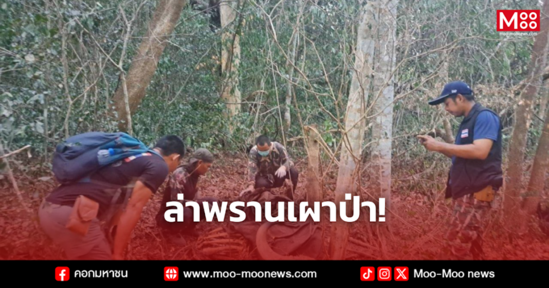 ล่าพรานเผาป่า