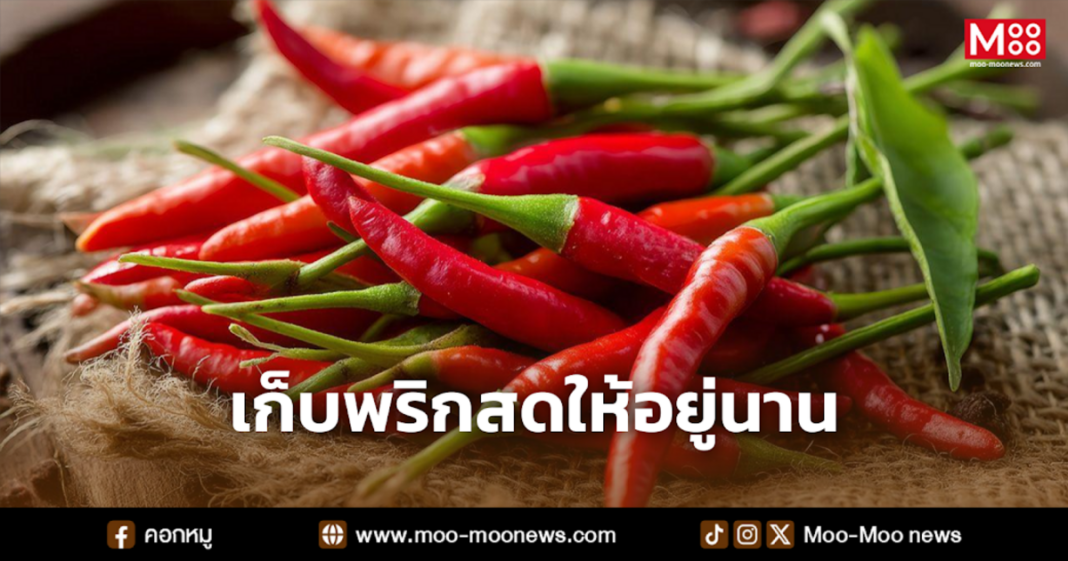 เก็บพริกสดให้อยู่นาน
