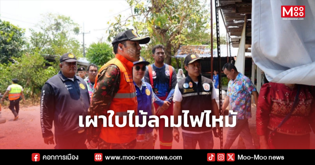 เผาใบไม้ลามไฟไหม้