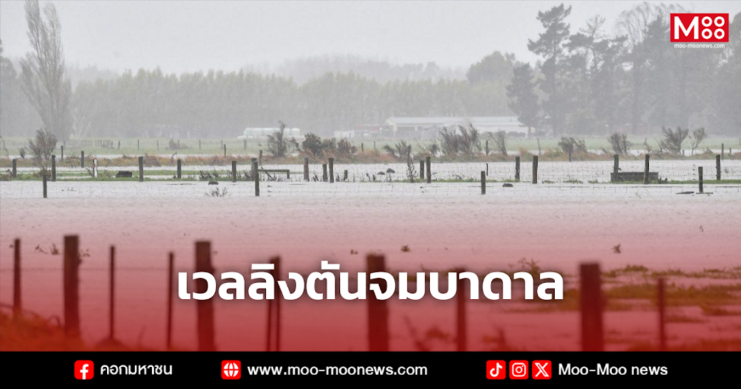 เวลลิงตันจมบาดาล