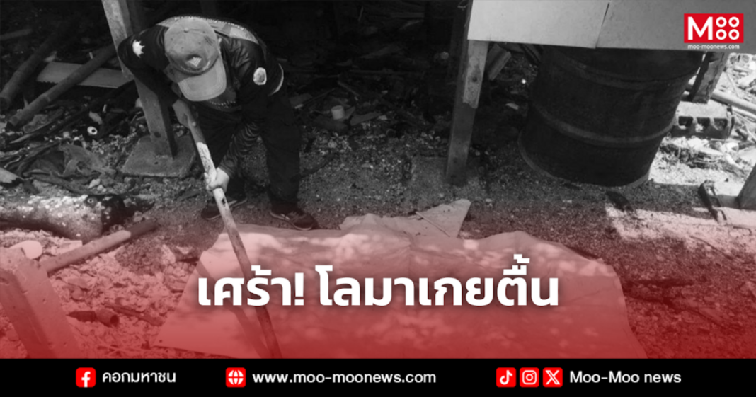 เศร้า โลมาเกยตื้น