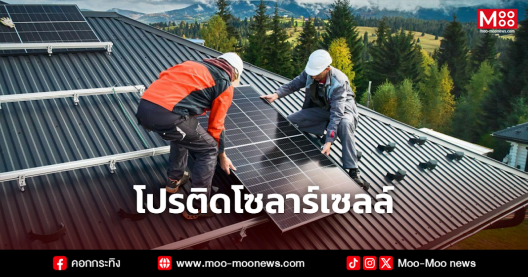 โปรติดโซลาร์เซลล์